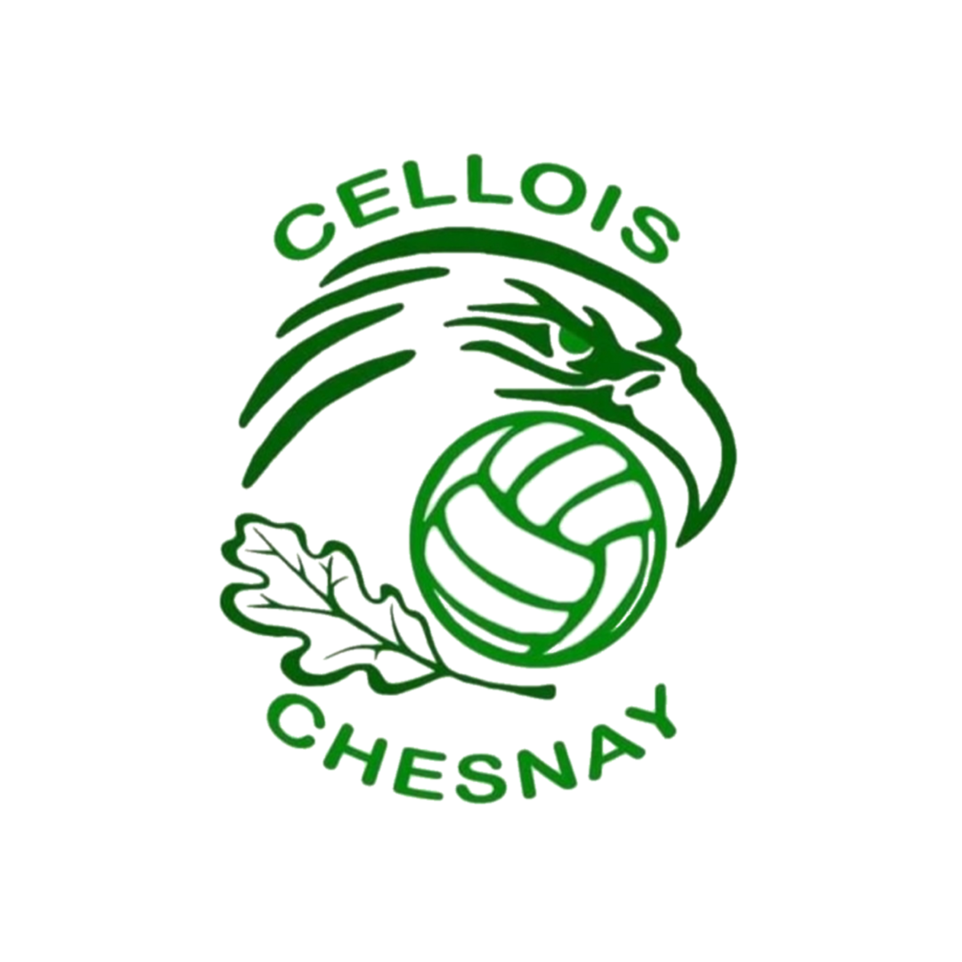 cellois chesnay volleyball